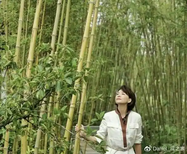 董卿庆47岁生日素颜和工作人员庆祝派对五官精致减龄感十足