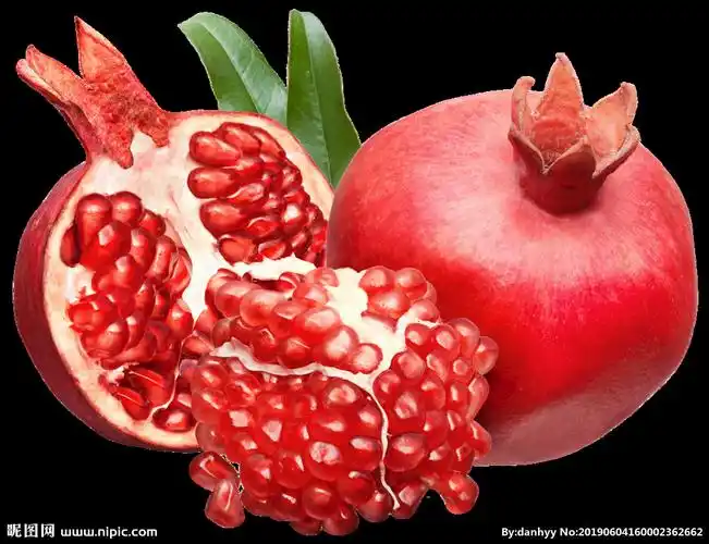 石榴图片