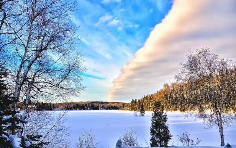 唯美的雪景高清图片