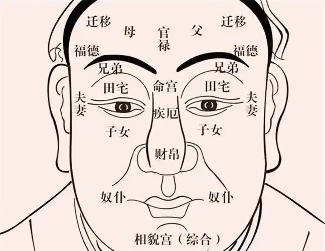 有依据吗?_个人_眉毛_面相