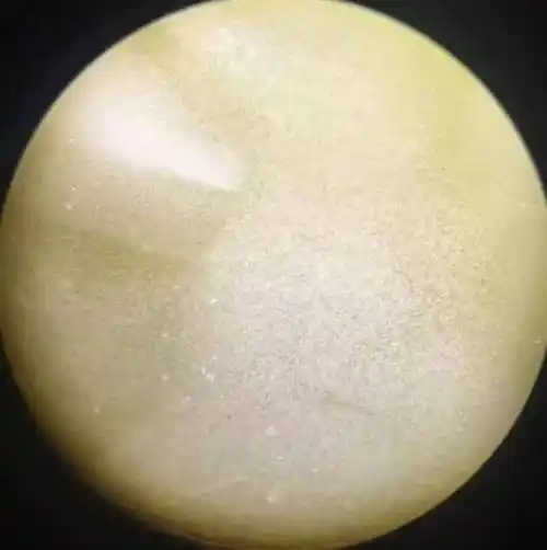 四:看气泡:   在100倍的放大镜下,可以看到真的蜜蜡的气泡是圆形: