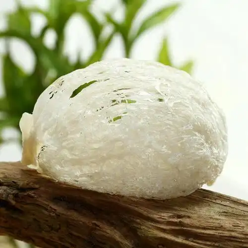 全城热燕原形状即炖立炖燕窝正品 疏盏 上海市长宁区虹井路888弄19号