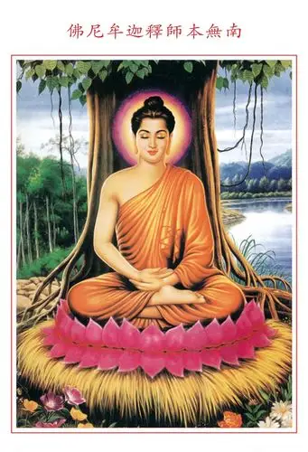 南无本师释迦牟尼佛