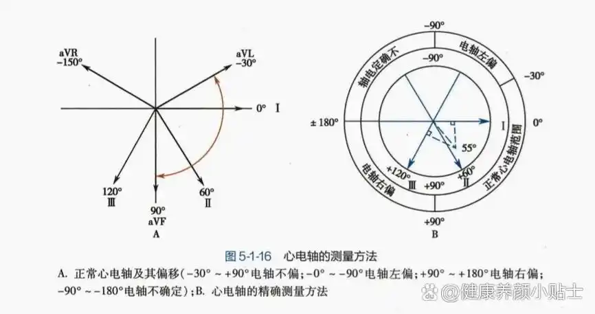心电轴判断口诀!