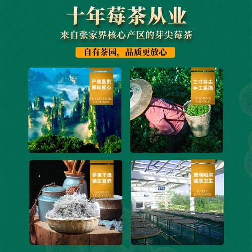 甄选 张家界莓茶龙须嫩芽尖霉茶永顺长寿藤茶-阿里巴巴