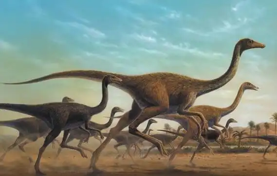 中国似鸟龙中国小型食草恐龙长2米长的非常像鸟