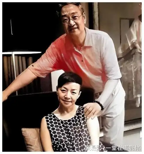 英达收回儿子巴图的姓氏,宋丹丹的心灵再次受创|春晚|赵玉吉|电视剧