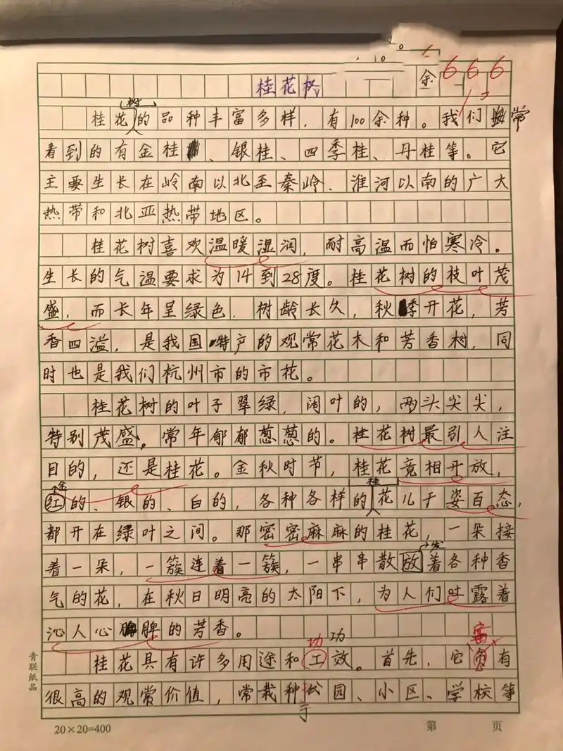 五上5单元作文《介绍一种事物》《桂花树》