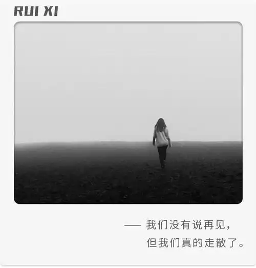 树下哲学有人正在默默退出你的朋友圈191226