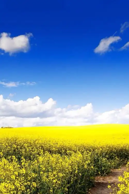 1200_1800竖版 竖屏