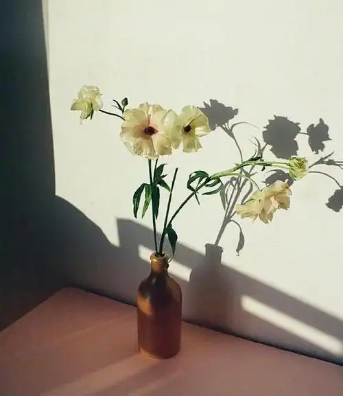 让你瞬间清醒的高级句子,干净唯美,越看越爱!