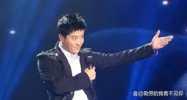 然而,2000年,毛宁卷入了一起抢劫