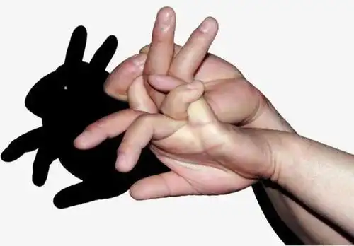 创意影子游戏道具加入 玩转影子向右滑动向右滑动手影故事分享影子小