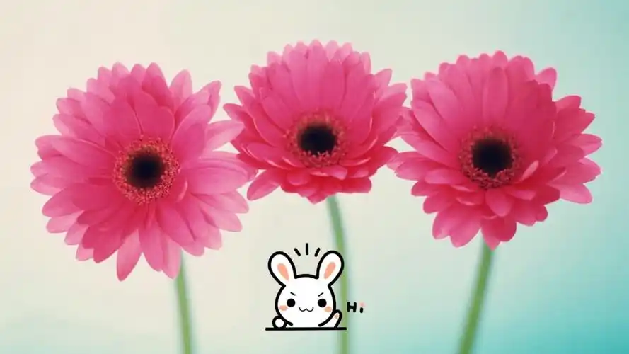 天天好心情 - 堆糖,美图壁纸兴趣社区