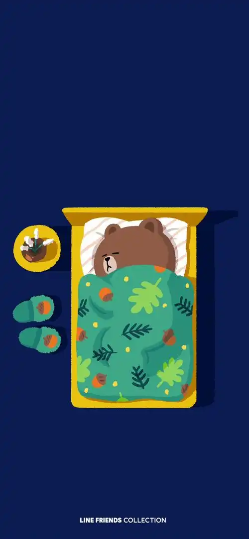 布朗熊 - 堆糖,美图壁纸兴趣社区