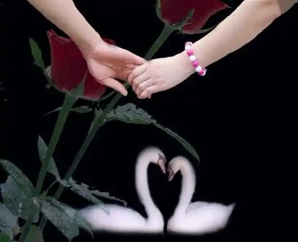 心相印手牵手【紫琪to乃舍分】