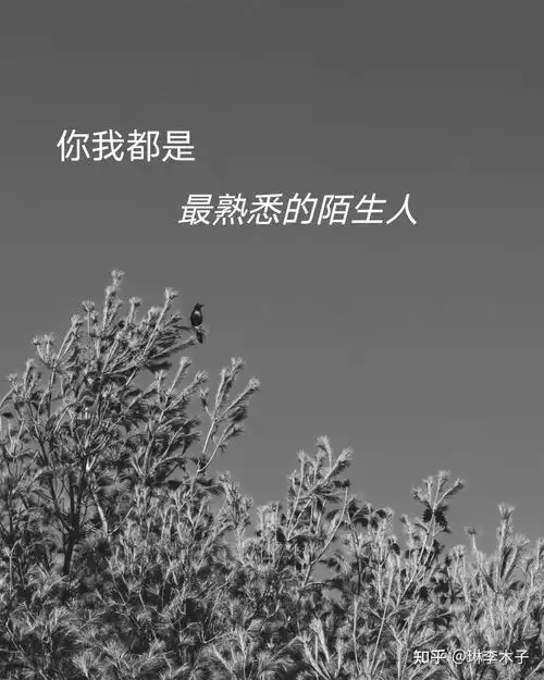 本来两个人就是陌生人,为什么经过几年的相处再变成陌生人就很难?