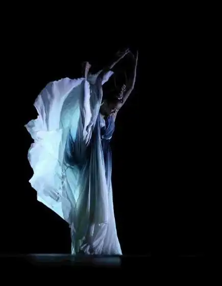 古典舞(其他人物相关)古典舞是指在民间传统舞蹈的基础上,经过历代