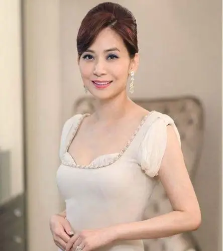 来自港台的60后女明星她们个个天仙下凡谁是您心中的大美人