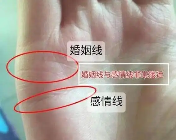 感情线分叉多 感情线和婚姻线哪个重要