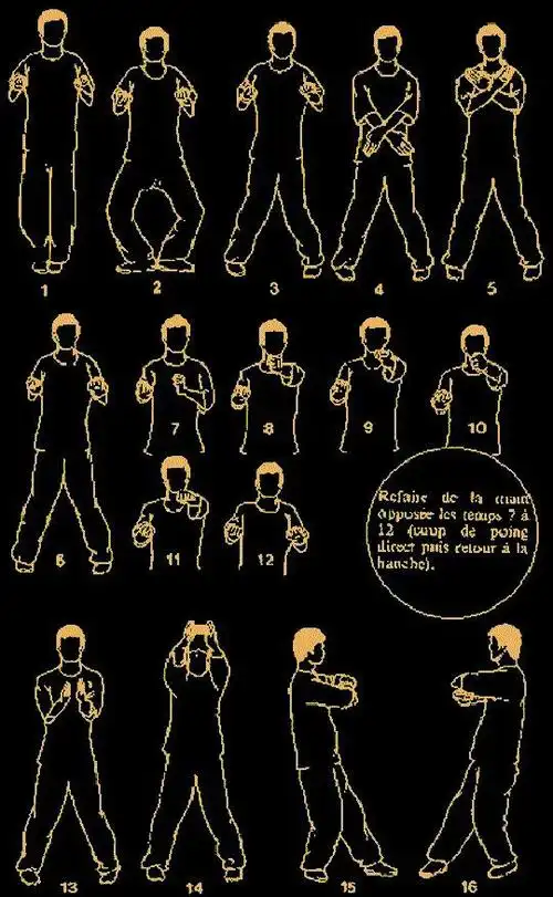 请大神给我咏春拳17以下的图片