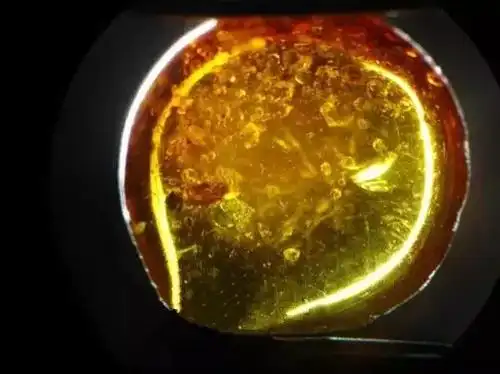 真假琥珀鉴别就7招