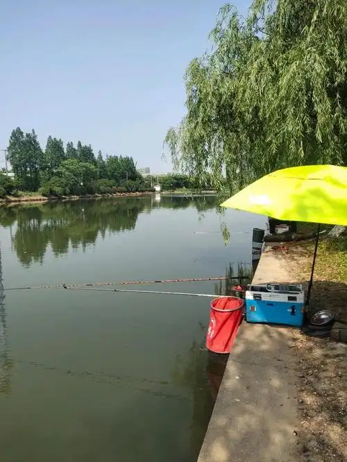 夏天钓鱼什么情况下需要更换钓位!看老钓鱼人如何成功拿捏