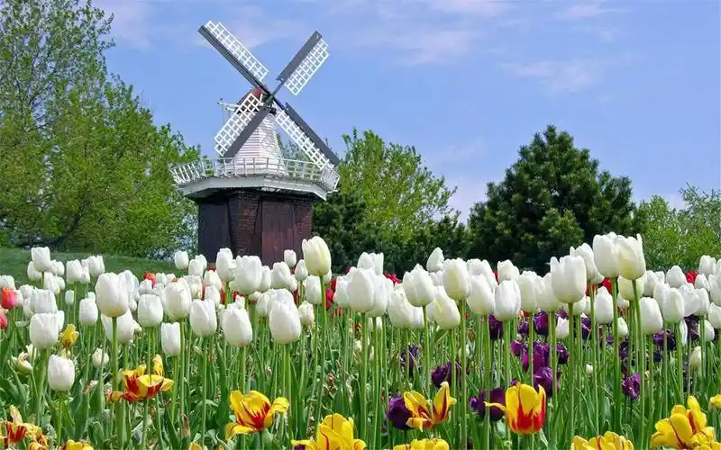 自媒体爆文采集工具有哪些?快速查找爆文内容就用易撰素材库!