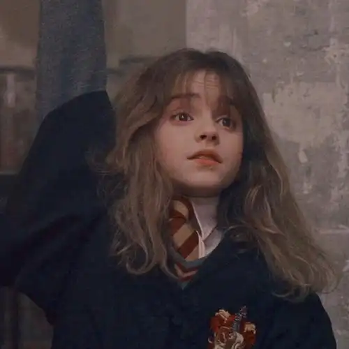 赫敏学神头像转自微博北玖iris