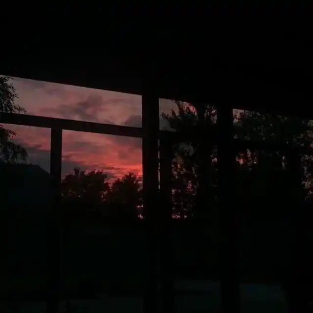 孤独的人朋友圈背景图