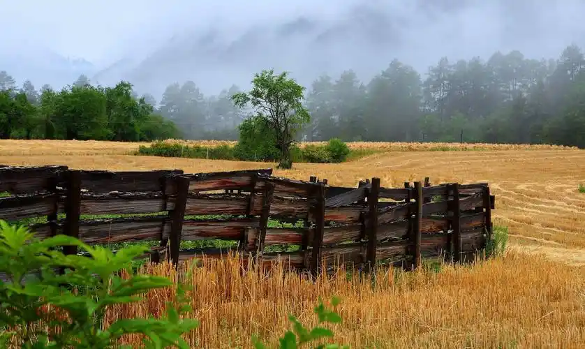 人类历史上最丰厚的嫁妆促成了一个强大民族的诞生