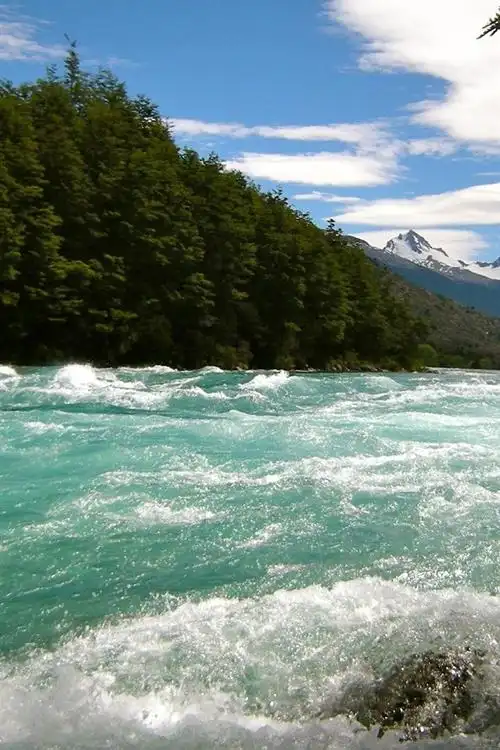 河流,树木,自然 750x1334 iphone 8/7/6/6s 壁纸,图片,背景,照片