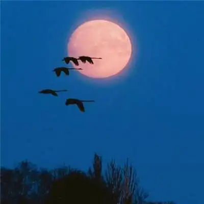 风景风水上最好的微信头像好运当头可爱点