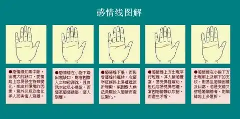 感情线图解 - 南歌走天下 - 手相图解面相图解命运预测