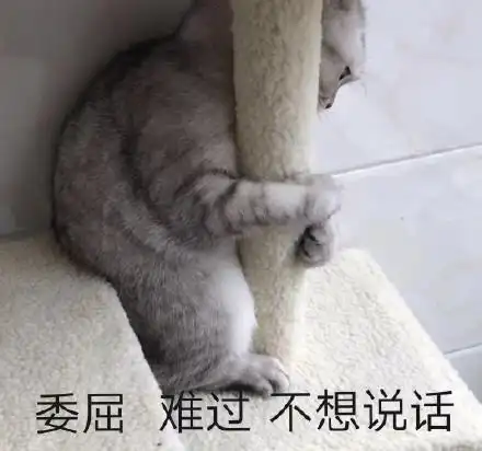 猫咪委屈动图表情包表情包 - 猫咪委屈动图表情包微信表情包 - 猫咪