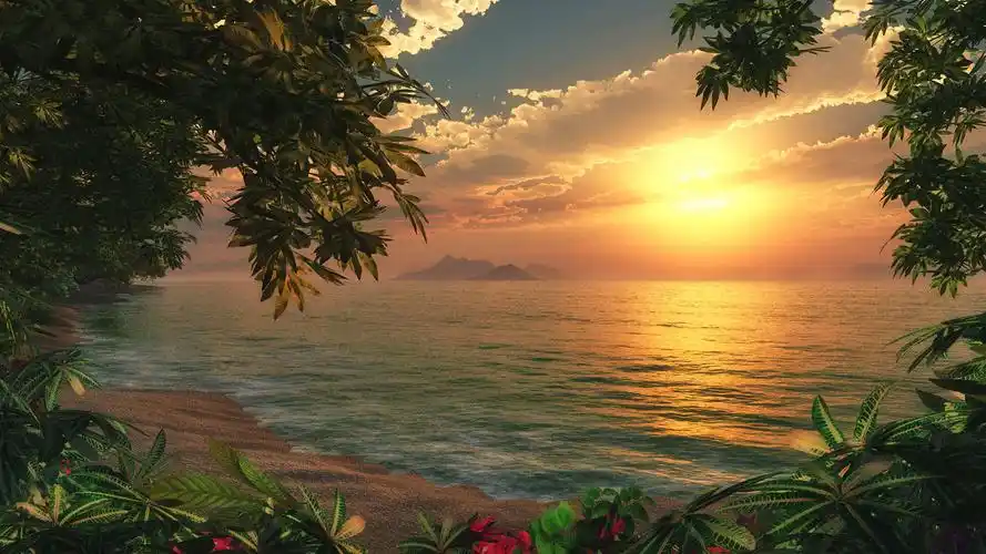 【唯美风景4】【1920x1080】[30p]