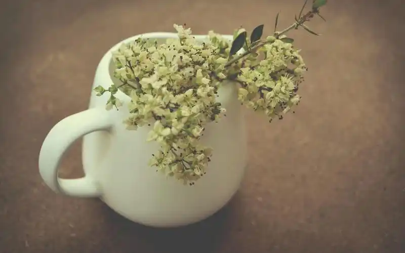 温暖安逸的唯美意境图片桌面壁纸