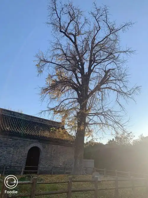 妈妈说明天就没人陪她说话了呀,听了心里有些难受,多想能留住这时光