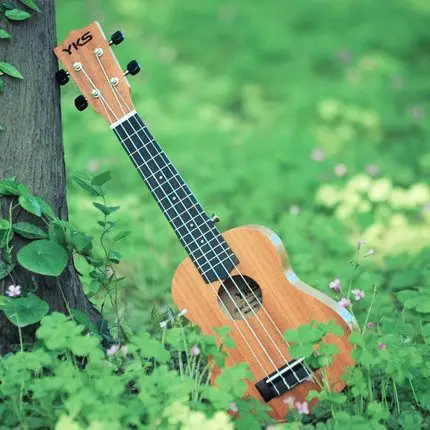 尤克里里凭借小巧可爱的外观,迅速走红.