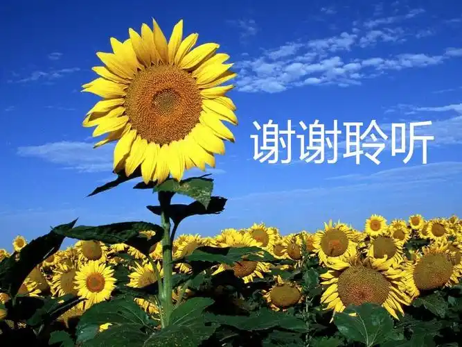 你可能喜欢 ppt素材库 ppt素材图表大全 清新背景 可爱动态ppt模板