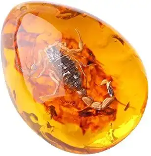 queenbox 树脂琥珀昆虫吊坠蝎子化石样品石水晶家居装饰和珠宝制作