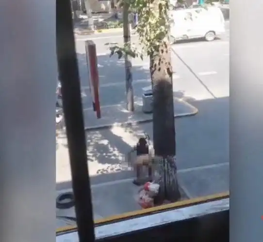 女子方便完后起身拉裤子