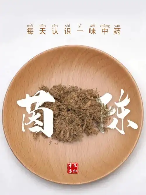 每天认识一味中药茵陈