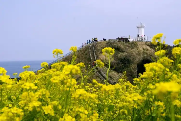 韩国济州岛风景图片 - 第8张