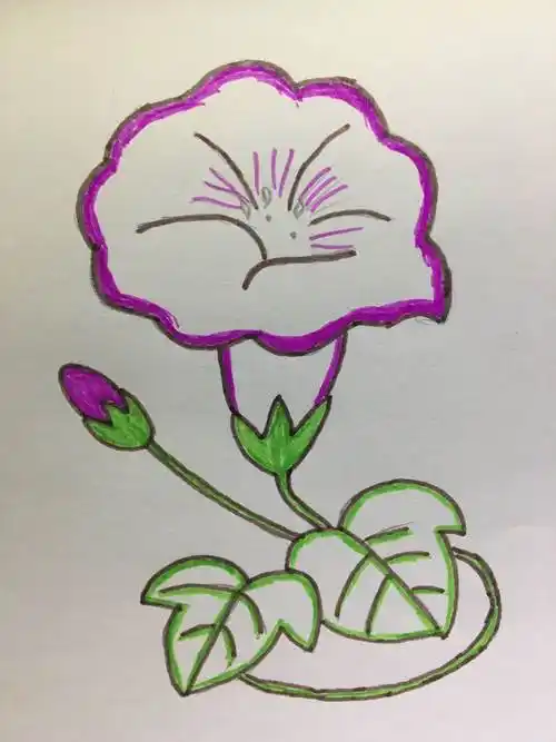 简笔画——牵牛花的画法