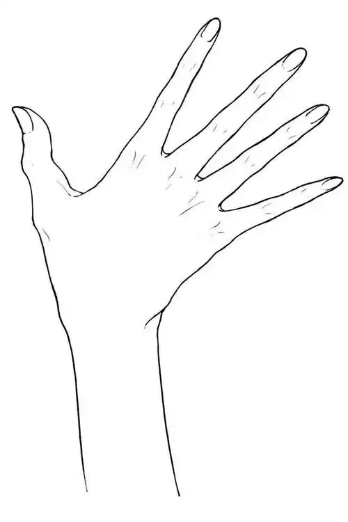 表现性感的部位通过了解手的结构和动作幅度来表现性感的手势