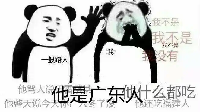 他是广东人!(熊猫)表情包 - 日常表情包