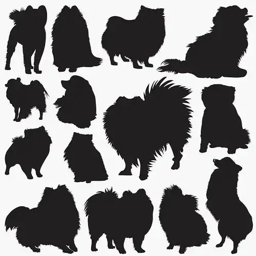 纯黑色动物影子狗类各种动作合集组图图片