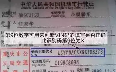 血统纯不纯正就看行车证上的身份证号17位数字暗藏玄机