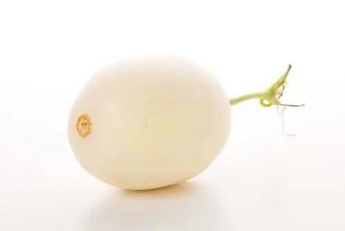 (作废)海南白金蜜瓜(700~900g/个)【行情 报价 价格 评测 特价 折扣】